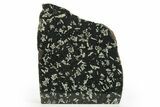 Free-Standing Polished Chinese Writing Rock - Australia #314350-1